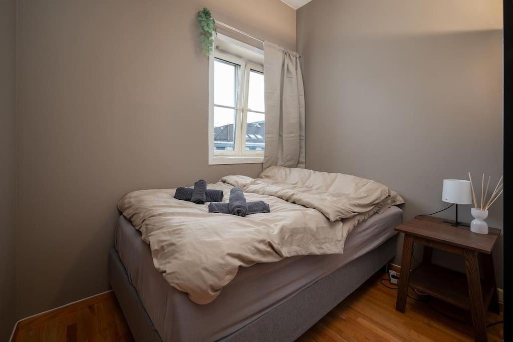 Studio Apt In City Centre Τρόντχαϊμ Εξωτερικό φωτογραφία